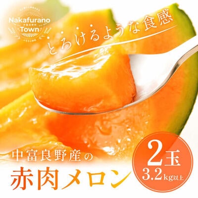 AB-003【2025年発送】中富良野　赤肉メロン2玉(計3.2kg以上)