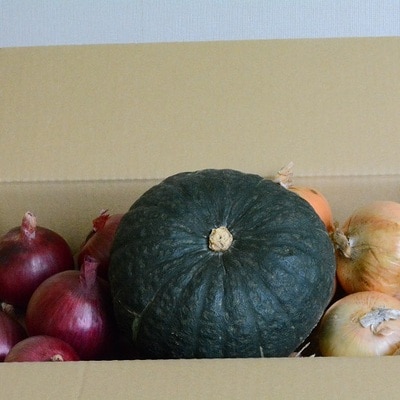 AD-004【セット】秋野菜セット(玉ねぎ8kg、紫玉ねぎ2kg、かぼちゃ1玉)