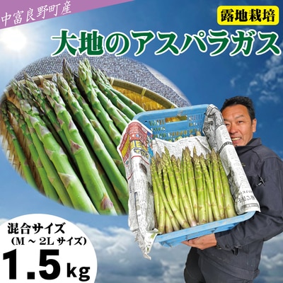 BF-016【2025年発送】【中富良野町寺坂農園】大地のアスパラガス(1.5kg)