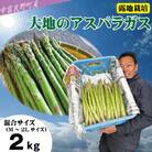 BF-017【2026年発送】【中富良野町寺坂農園】大地のアスパラガス(2kg)
