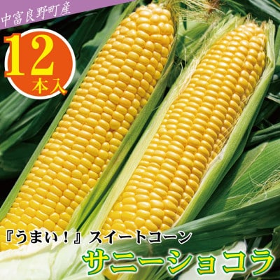 BF-010【2026年発送】【中富良野町】とうもろこし『サニーショコラ』(12本入り)