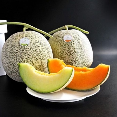 BF-039【2026年発送】【中富良野町】寺坂メロン赤青セット 2玉入り