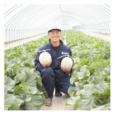 AX-006【2026年発送】北海道赤肉メロン1玉(2kg以上)