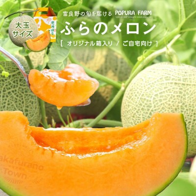 BC-001【2026年発送】【ポプラファーム】富良野メロン(2kg以上　秀品　大玉1玉)