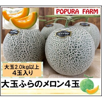 BC-005【2025年発送】【ポプラファーム】富良野メロン 大玉4玉(計8kg以上　秀品)