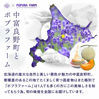 BC-007 2026年発送 ポプラファーム 桐箱 極上の富良野メロン中玉2玉 計3.2kg以上秀品
