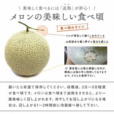 BC-007 2026年発送 ポプラファーム 桐箱 極上の富良野メロン中玉2玉 計3.2kg以上秀品