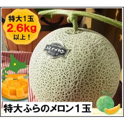 BC-008【2025年発送】【ポプラファーム】富良野メロン 特大1玉(2.6kg以上 秀品)