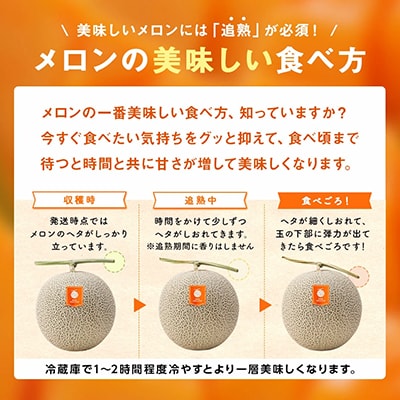 AR-046【7月下旬発送】ふらの赤肉メロン　3玉(XLサイズ)(とみたメロンハウス)