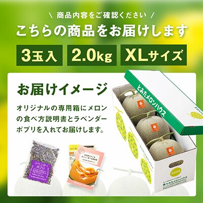AR-046【7月下旬発送】ふらの赤肉メロン　3玉(XLサイズ)(とみたメロンハウス)