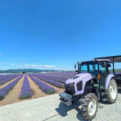 BB-024【セット】【ファーム富田】ラベンダーハンドスプレーセット