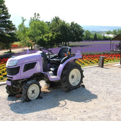 BB-029【セット】ラベンダーオイルディフューザーセット