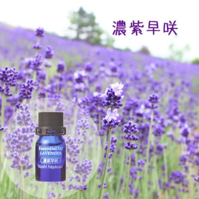 BB-033【セット】2種類のラベンダーオイルセット