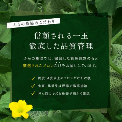 AC-015【2026年発送】富良野メロン4～5玉(計8kg以上)