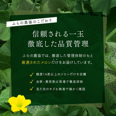 AC-017【2026年発送】【秀品】富良野メロン　2玉(約1.6kg×2玉)