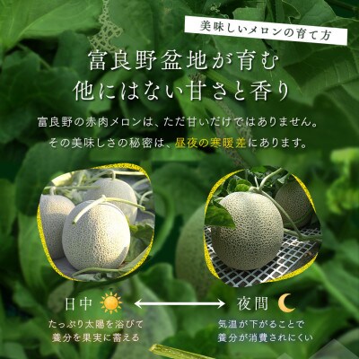 AC-031【2026年発送】【秀品】富良野メロン1玉(約2.5kg以上)