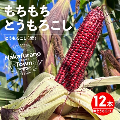 AW-010【2026年8月下旬～9月中旬発送】もちもちトウモロコシ紫　12本　中富良野産