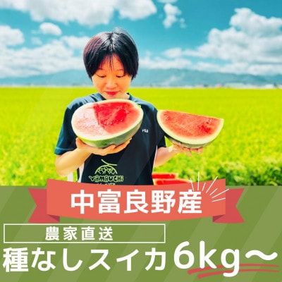 AW-012【2026年7月下旬～8月下旬発送予定】種なしスイカ　1玉(6kg～)