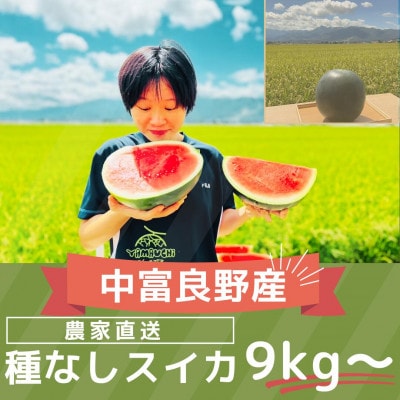 AW-019【2026年発送】種なしスイカ1玉(9kg～)