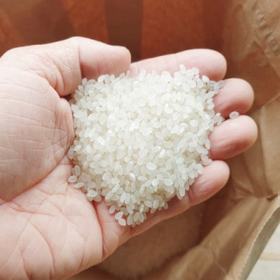 CG-007【令和7年産】ななつぼし 5kg「北海道中富良野町産本間農園」