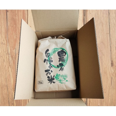 CG-007【令和7年産】ななつぼし 5kg「北海道中富良野町産本間農園」