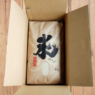 CG-008【令和7年産】ななつぼし 10kg「北海道中富良野町産本間農園」
