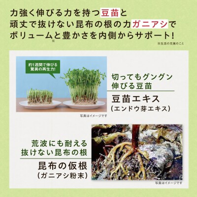 【12箱入　360日分】いとびはつ はぐくむ青汁 糸島市 / 株式会社ピュール [AZA267]