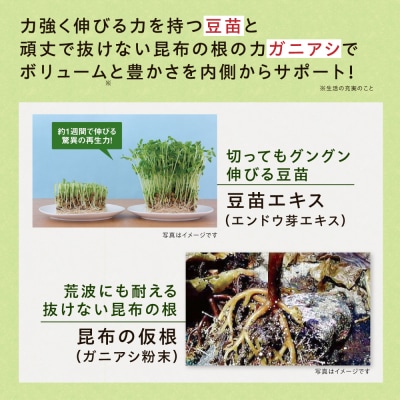 【6箱入　180日分】いとびはつ はぐくむ青汁 糸島市 / 株式会社ピュール [AZA266]