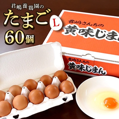【君嶋養鶏園】Lサイズ 卵60個(55個+割れ補償5個)◆卵かけご飯にも◎