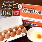【毎月定期便】「君嶋養鶏園」Lサイズ 卵30個 卵かけご飯にもオススメ◎全6回