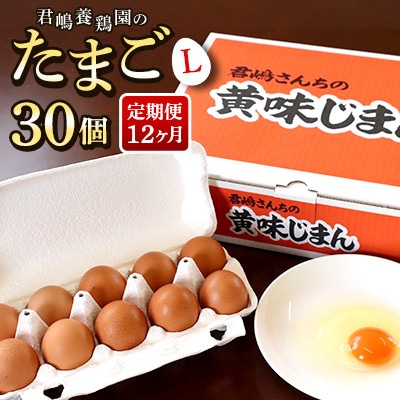 【毎月定期便】「君嶋養鶏園」Lサイズ 卵30個 卵かけご飯にもオススメ◎全12回