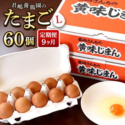 【毎月定期便】「君嶋養鶏園」Lサイズ 卵60個 卵かけご飯にもオススメ◎全9回