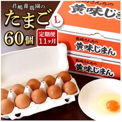 【毎月定期便】「君嶋養鶏園」Lサイズ 卵60個 卵かけご飯にもおすすめ◎全11回