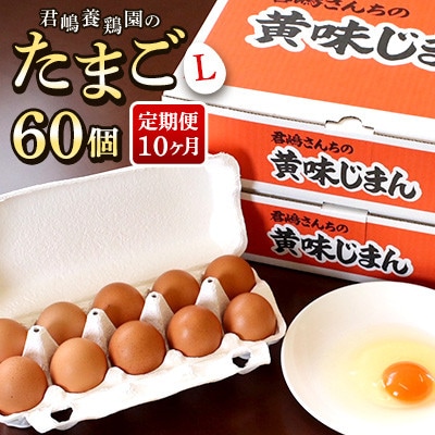 【毎月定期便】「君嶋養鶏園」Lサイズ 卵60個 卵かけご飯にもおすすめ◎全10回