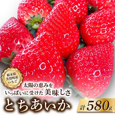 栃木県芳賀町産 とちあいか 新鮮大粒いちご580g　贈答・ギフト用にも