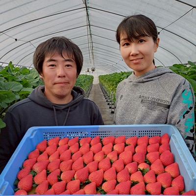 栃木県芳賀町産 とちあいか 新鮮大粒いちご580g　贈答・ギフト用にも