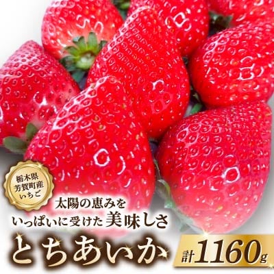 【令和9年産先行予約】栃木県芳賀町産 とちあいか 新鮮大粒いちご1160g　贈答・ギフト用にも