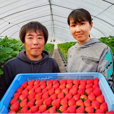 【令和9年産先行予約】栃木県芳賀町産 とちあいか 新鮮大粒いちご1160g　贈答・ギフト用にも