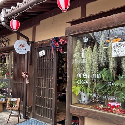 神楽グッズ 蜘蛛 6個入り[No5895-0768]