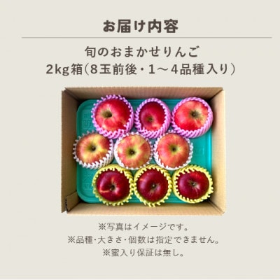 おまかせ旬のりんご2kg箱
