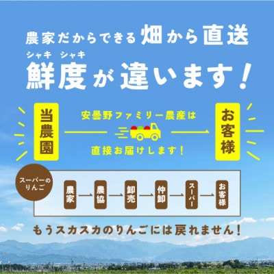 おまかせ旬のりんご2kg箱