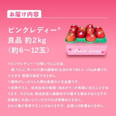信州安曇野産　ピンクレディー(R)約2kg