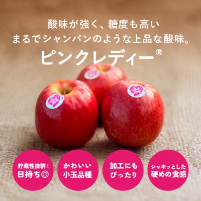 信州安曇野産　ピンクレディー(R)約2kg