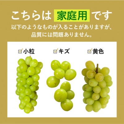 信州・安曇野産　シャインマスカット約1kg(2～4房)