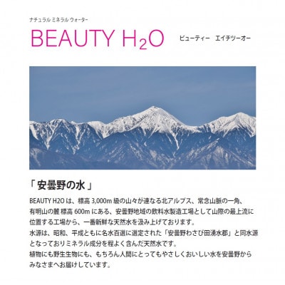 ナチュラル・ミネラルウォーターBEAUTY H2O　350ml×24本