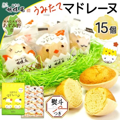 無地熨斗 長野県 うみたて マドレーヌ 15個 胡蝶庵 安曇野市