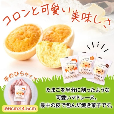 長野県 うみたて マドレーヌ 20個 胡蝶庵 安曇野市