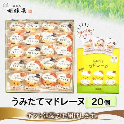 長野県 うみたて マドレーヌ 20個 胡蝶庵 安曇野市