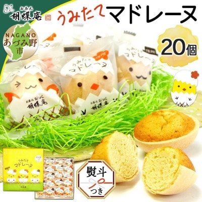 無地熨斗 長野県 うみたて マドレーヌ 20個 胡蝶庵 安曇野市