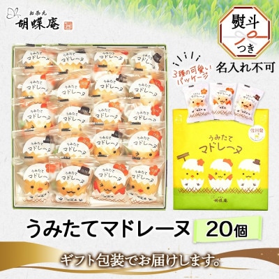 無地熨斗 長野県 うみたて マドレーヌ 20個 胡蝶庵 安曇野市